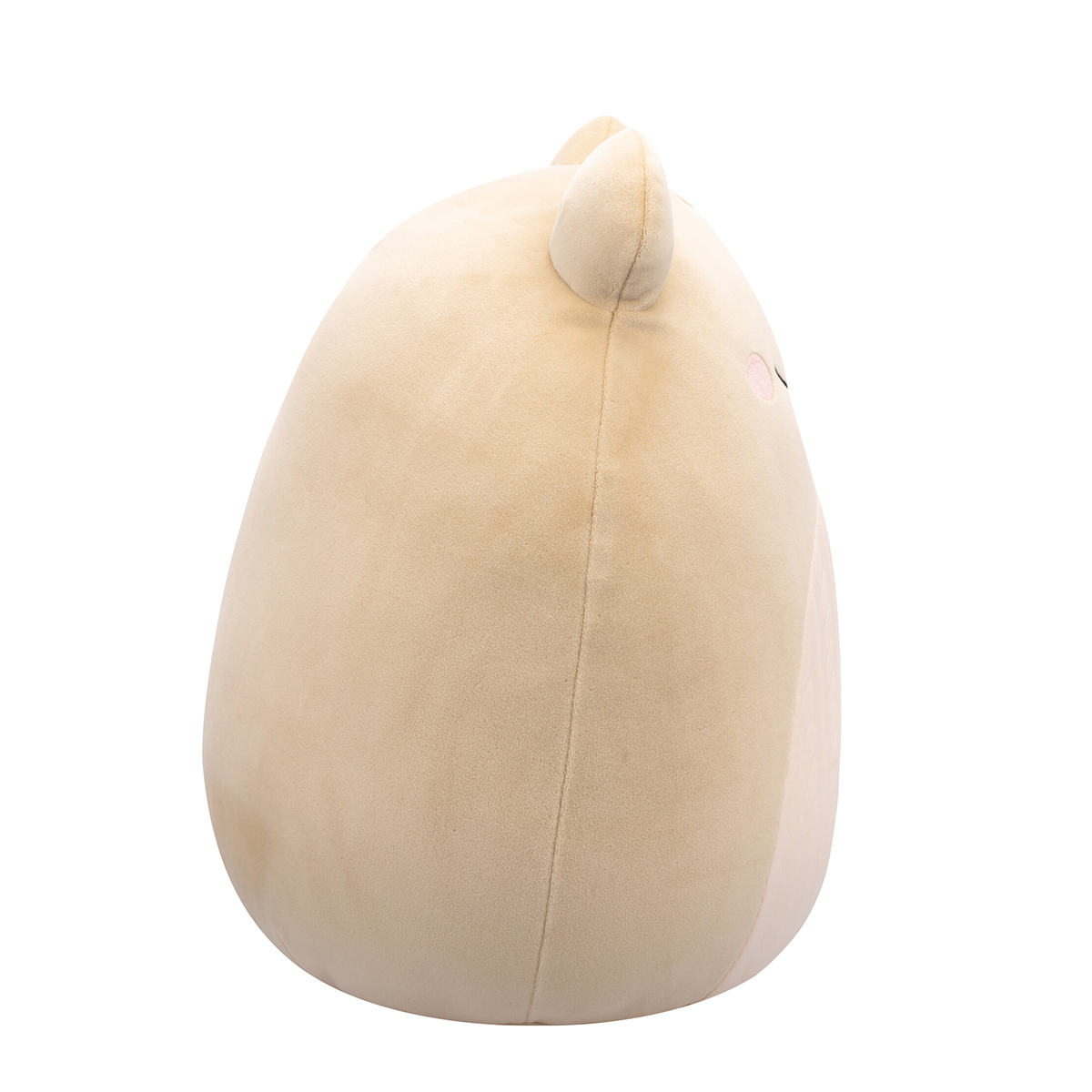 М'яка іграшка Squishmallows – Жабка Де Вітт (De Witt) – 30 cm — превʼю 12