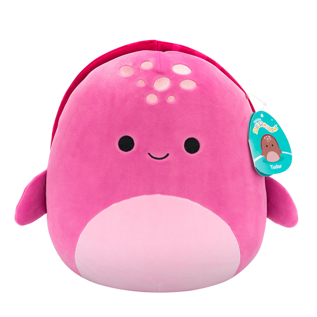 М'яка іграшка Squishmallows — Черепаха Тудор (Tudor) — 30 см — превʼю 14